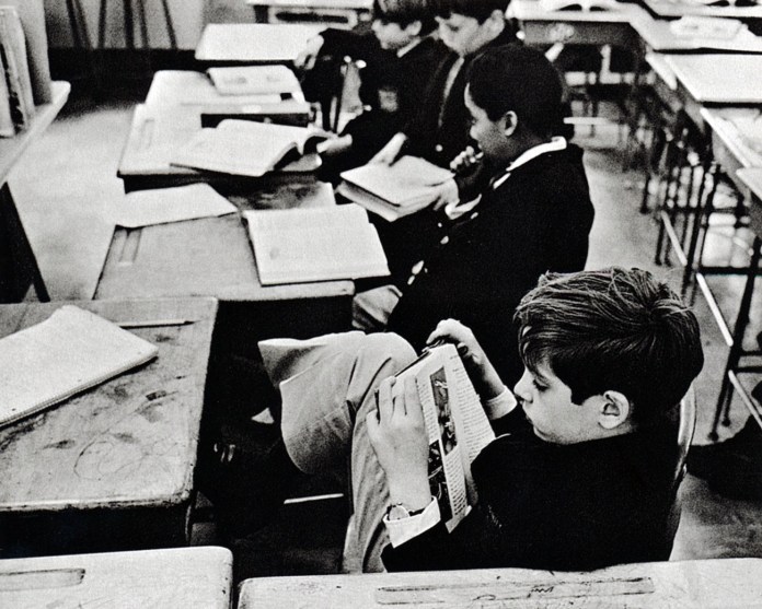 Sulla rivalutazione funzionalista della letteratura