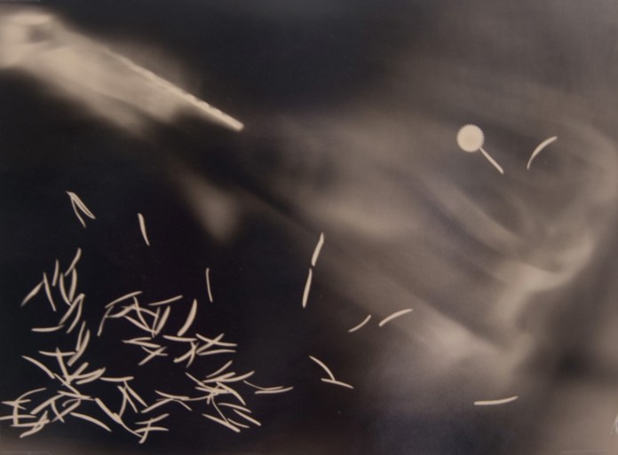 Fotografia e relazione fra uomo e tecnologia, anche al lavoro